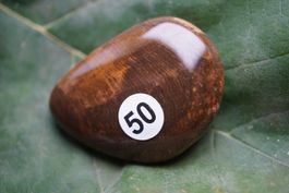 Versteinertes Holz   Seifenstein   ab 1.-– Rausverkauf