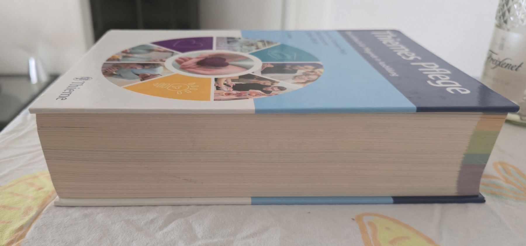 Libri: Thieme Pflege 13. Auflage – Usato da Zürich venduto da Enver90 1