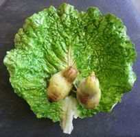 Keramikschale, Kohlblatt mit 2 Küken