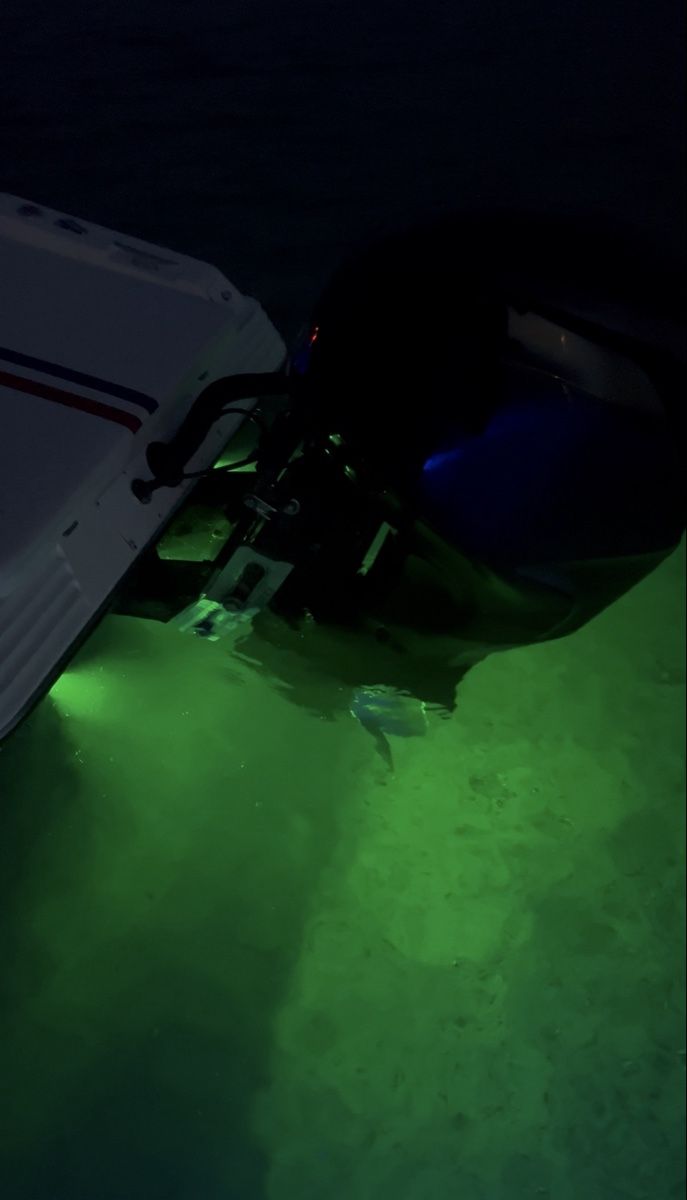 Mercury Boote: Ring 21 C Rennboot Inkl Trailer – Gebraucht aus Eglisau von ian_29hh 8