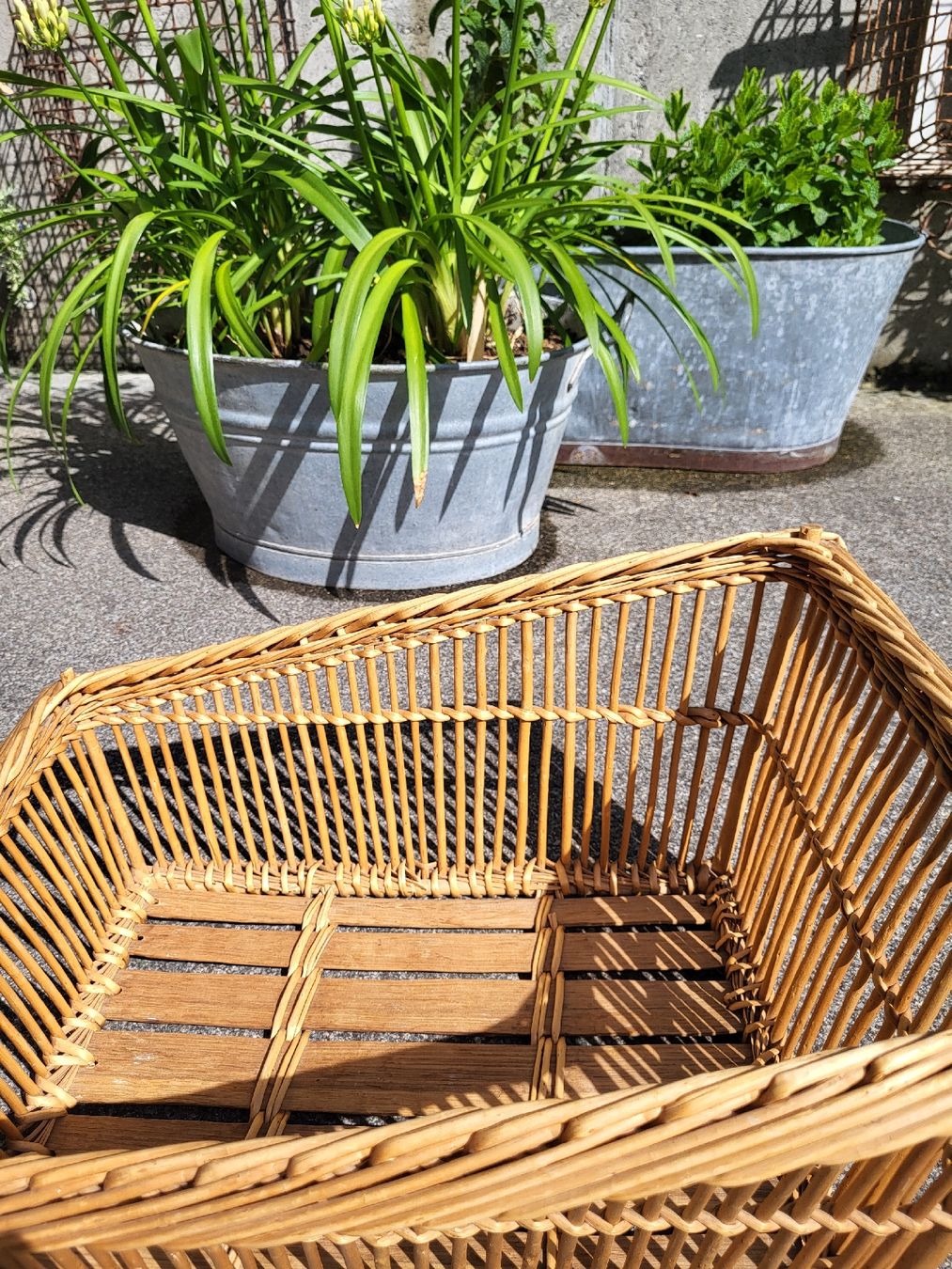Altro per la casa: rattankorb, garten, terasse, windelkorb, vintage,weidekorb – Usato da Frutigen venduto da Tipp1 3