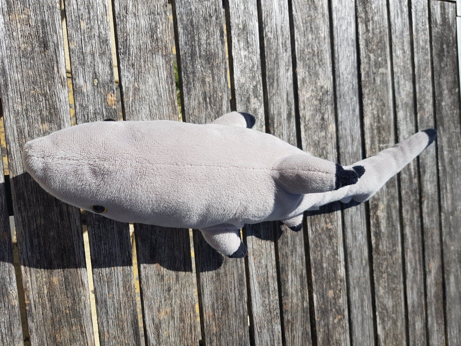 Spielzeuge: Plüschhaifisch – Gebraucht aus Jona von dampfnuggi 3