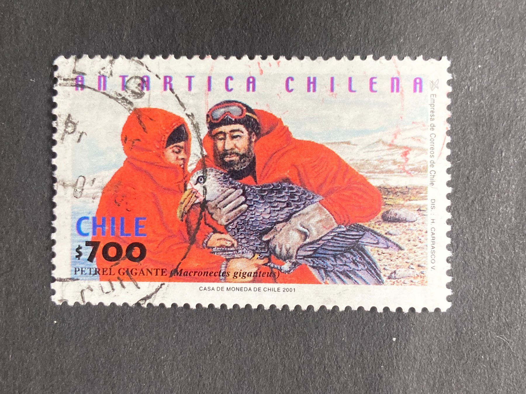Tutti i francobolli: Chile 2001 Vogelschutz gestempelt – Usato da Liestal venduto da schnueps