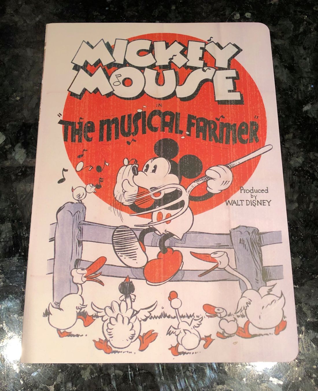 Blocchi: Mickey Mouse Skizzenbuch A5 – Nuovo (secondo la descrizione) da Rüti ZH venduto da Jasna89
