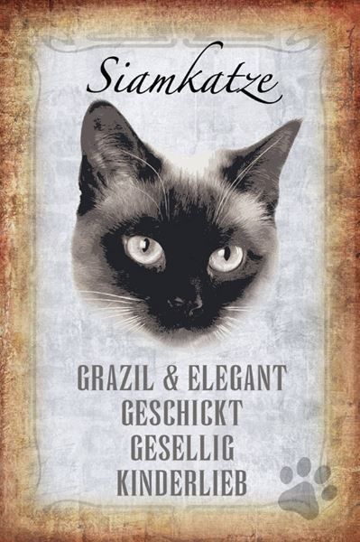 Insegne: Blechschild-STECKBRIEF-SIAMKATZE – Nuovo e nell'imballaggio originale da Rupperswil venduto da big-one-sale