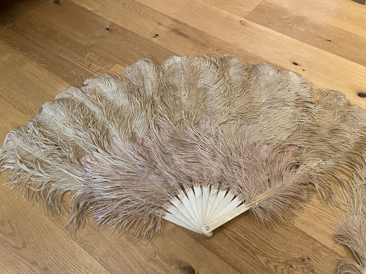 Il mondo degli animali: Federfächer, Straussenfeder, Burlesque – Nuovo (secondo la descrizione) da Wetzikon ZH venduto da purple_44 1