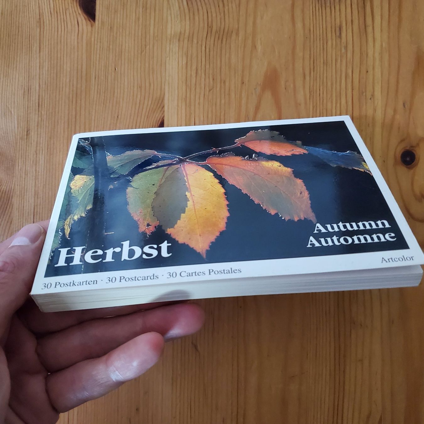 Livres: Postkartenbücher Herbst & Wege - 41 wunderschöne Postkarten – D'occasion à Zürich par BornInQueensland 4