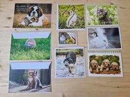 9 Stk. Hunde-/ Katzen- und andere Tierkarten mit Kuvert