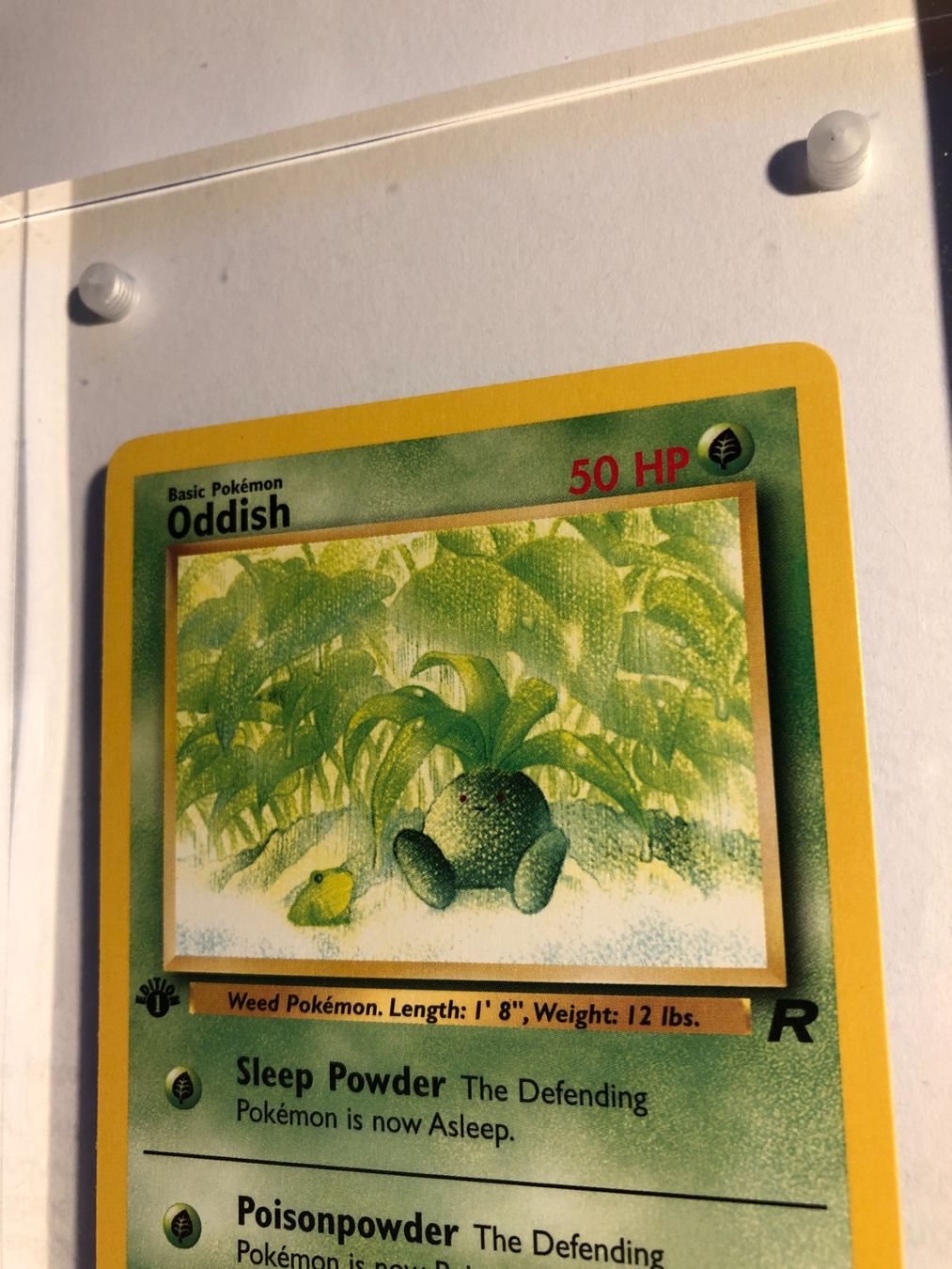 Cartes à collectionner: Oddish 1st Team Rocket - MINT - ab 1.- – D'occasion à Giubiasco par dan_pr8b 3