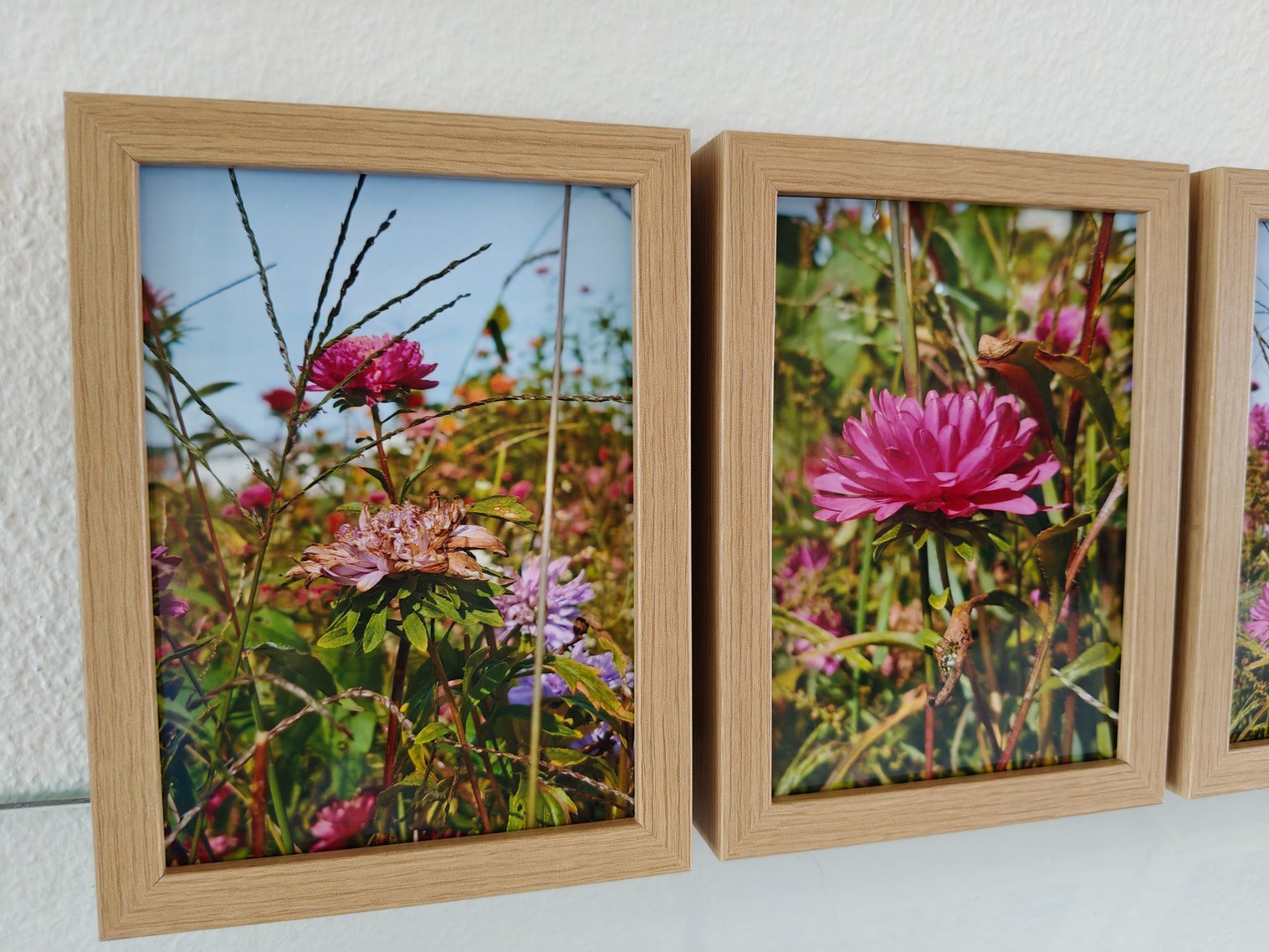 Foto & Immagini: Farbfotografie Blumen, drei Bilder – Nuovo e nell'imballaggio originale da Winterthur venduto da GDaniela 1