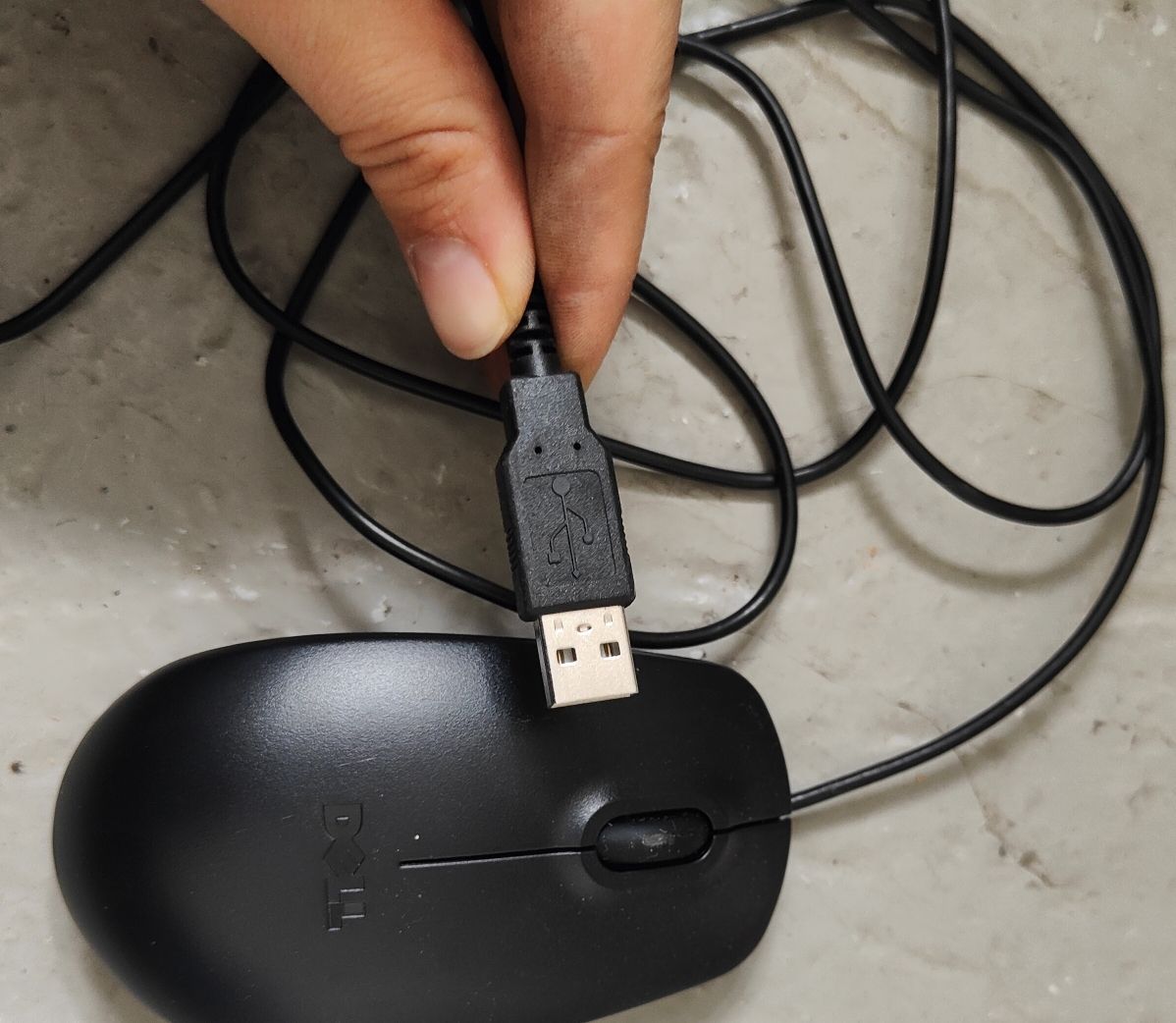 Dell Mouse: Dell USB Maus Schwarz – Usato da Möriken AG venduto da ste_sdp9