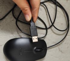 Dell USB Maus Schwarz