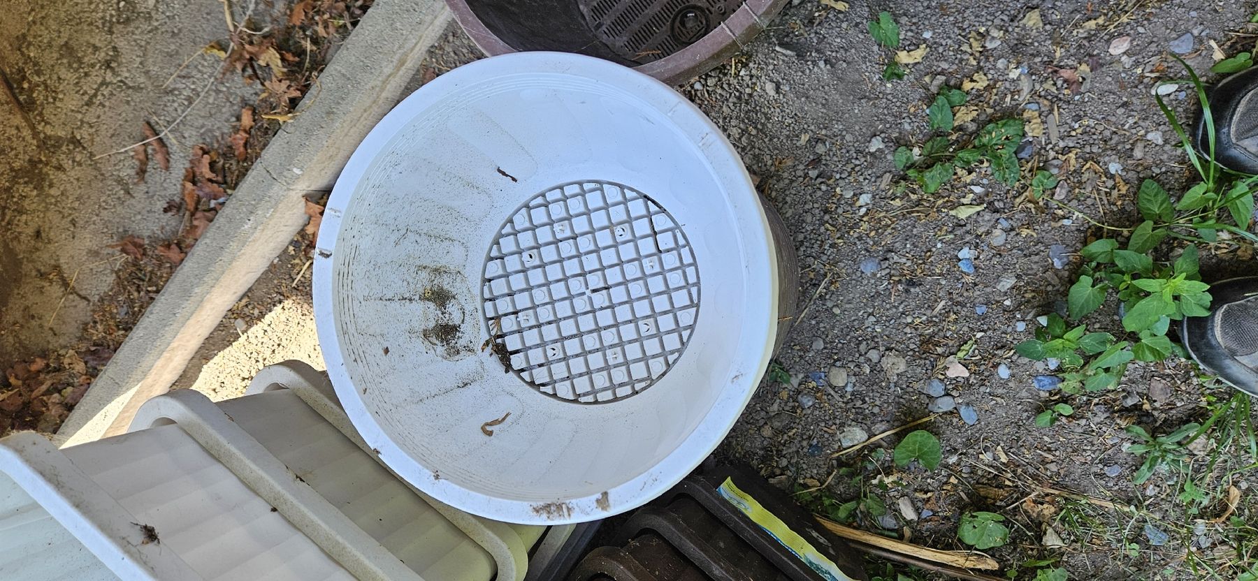 Vasi per fiori: Blumentöpfe – Usato da Buttisholz venduto da Silu.99 2
