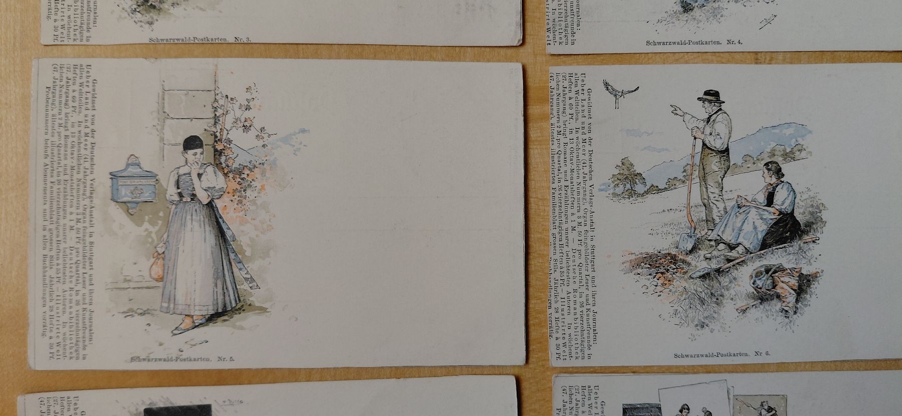 Cartoline postali: 8 antike Schwarzwald Postkarten, Lithogrofien – Usato da Trogen venduto da Limboo 3