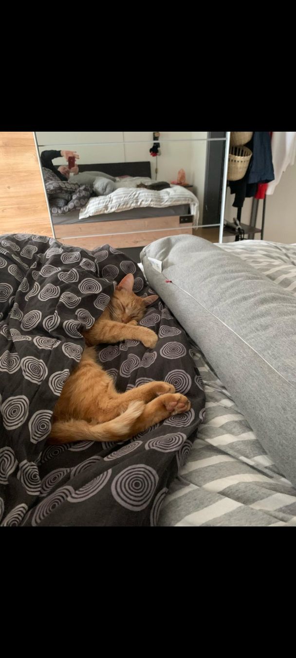 Betten: Bett mit 2 nachtisch – Gebraucht aus Lachen SZ von mer_nk79 6