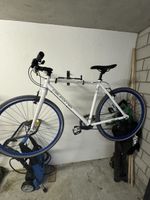 California Urban Bike / Citybike