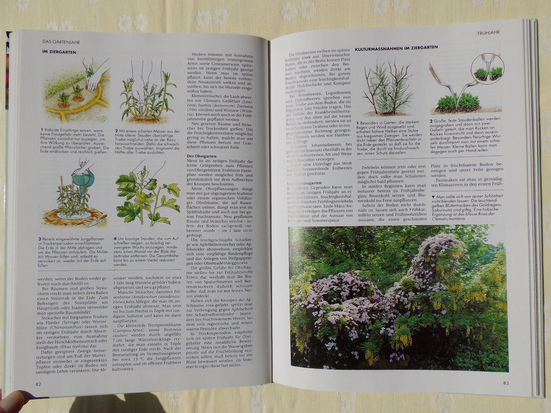 Libri: Der gesunde Biogarten - Das Beste – Usato da Uster venduto da urs_75by 7