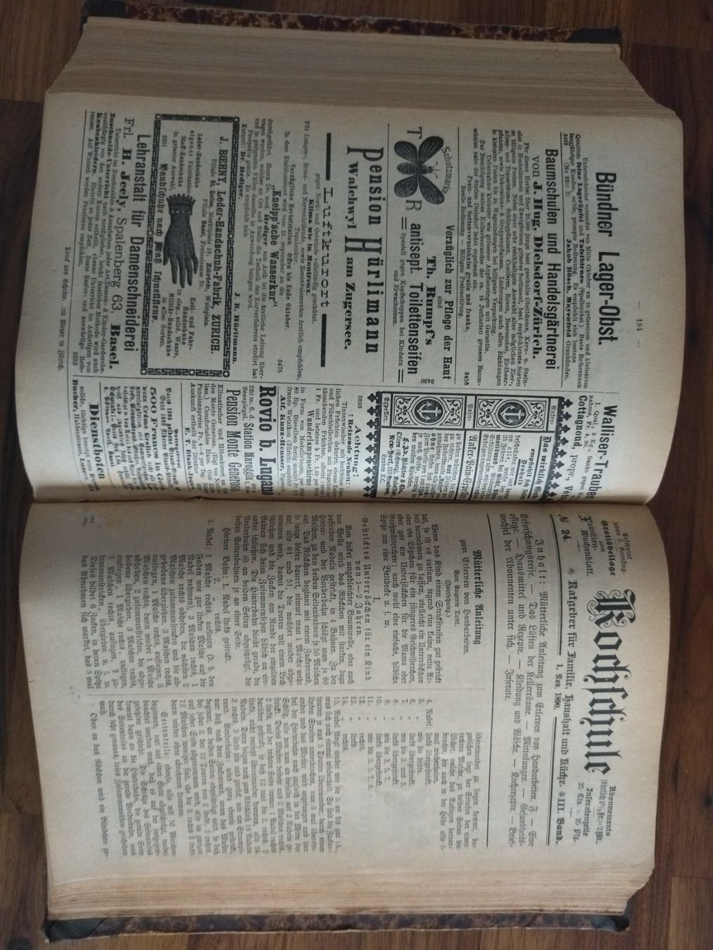Libri: Kochbuch antik 1885 – Usato da Felben-Wellhausen venduto da bananajoe8474 4