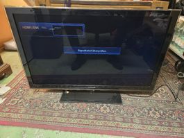 Samsung TV 46 Zoll (D)