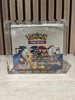 POKEMON X Y EVOLUTIONS DISPLAY