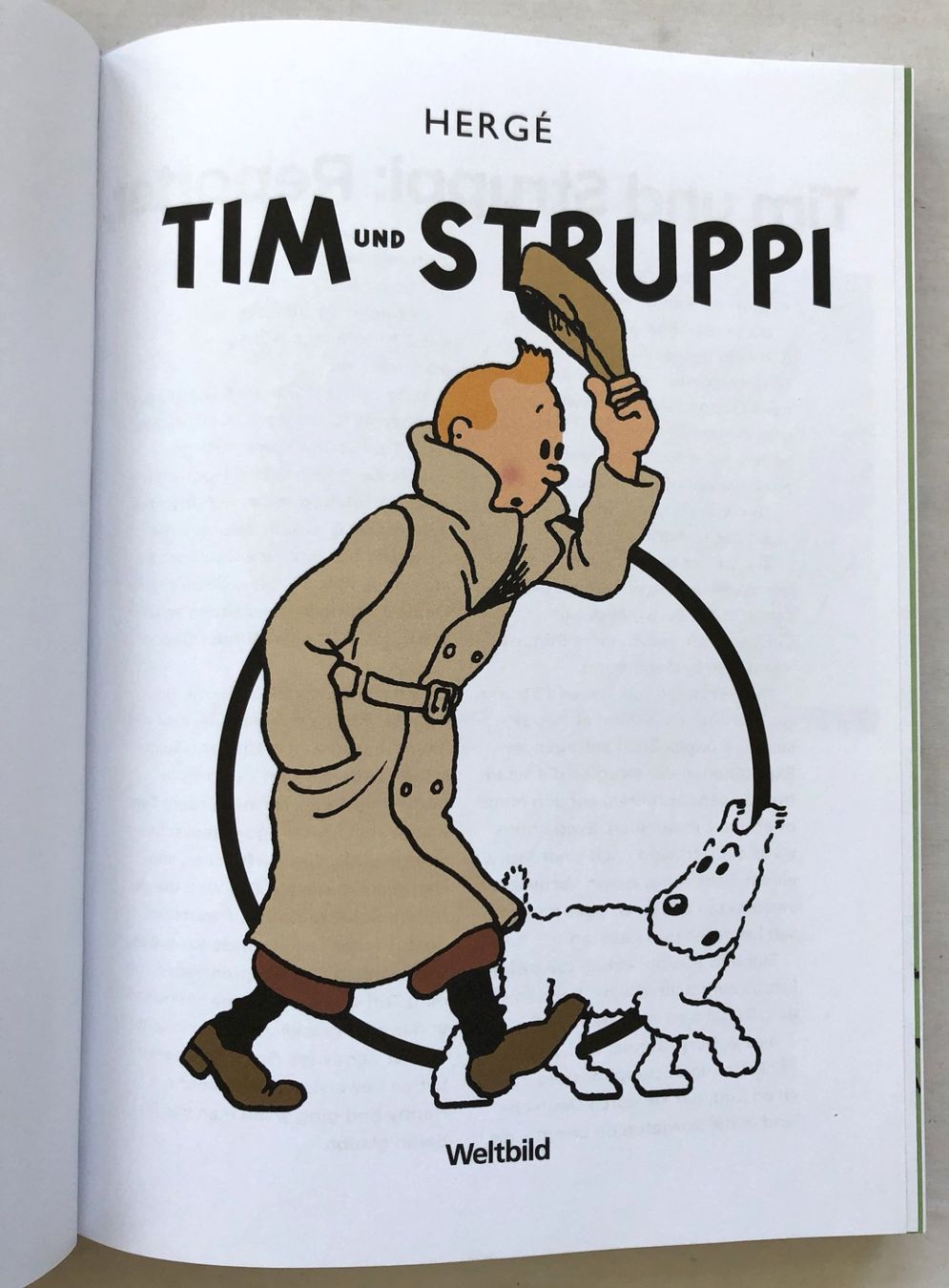 Comics: BILD - COMIC-Bibliothek - Band 8 - TIM UND STRUPPI – Gebraucht aus Schaffhausen von durruti 2