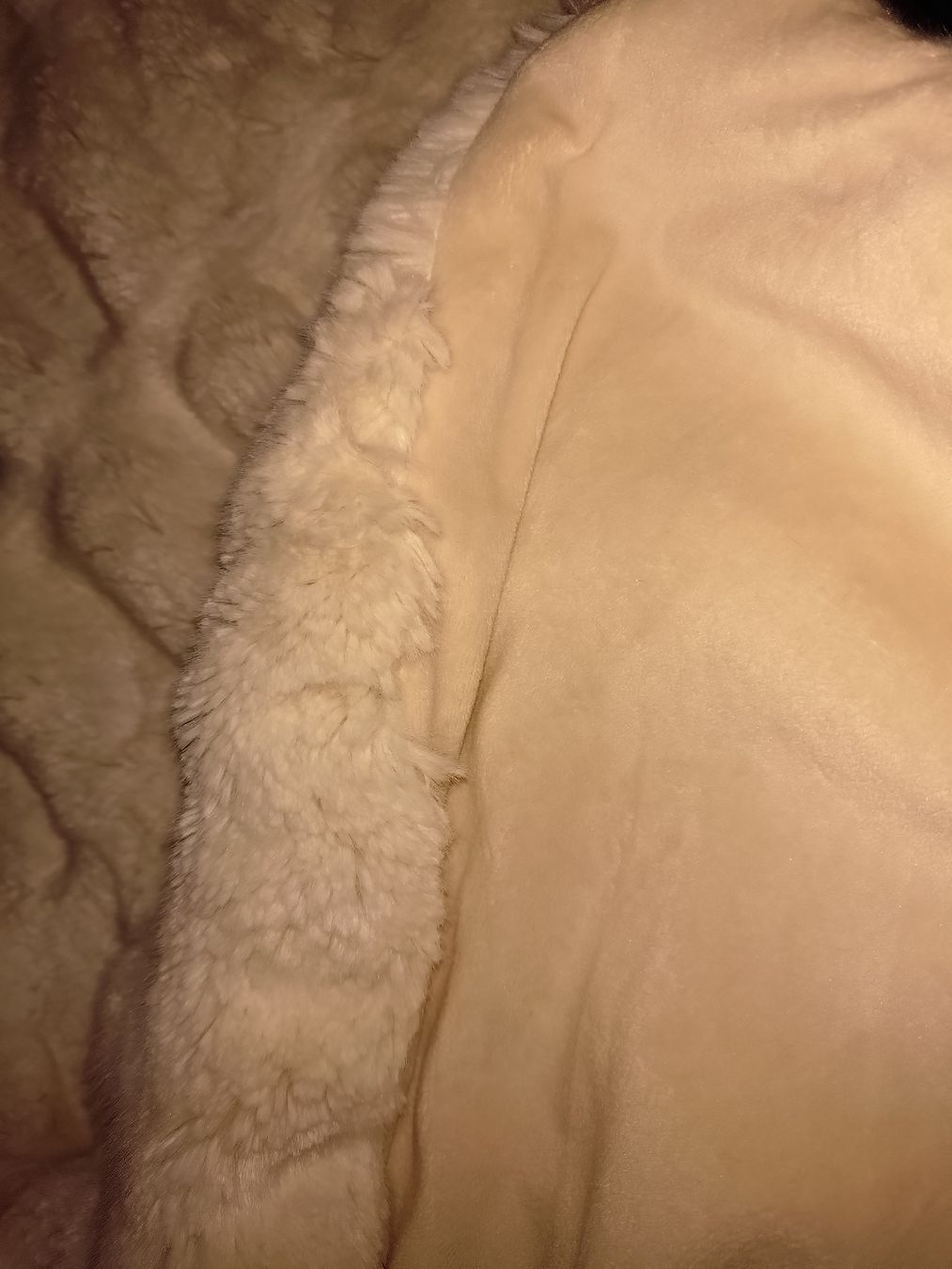 Coperte: Schöne Chinchilla Decke – Usato da Bremgarten AG venduto da irmscherastraH 1