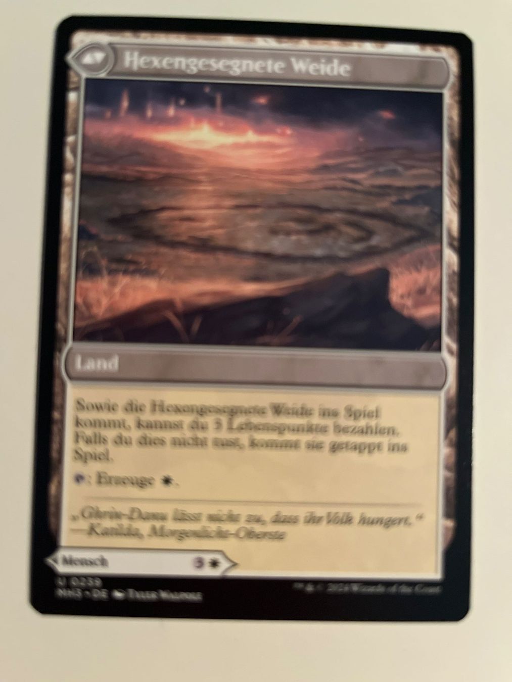 Magic The Gathering Carte collezionabili: 1 x Bezaubernde Hexe - Magic: The Gathering - MtG – Usato da Kriens venduto da Shadi1980 1