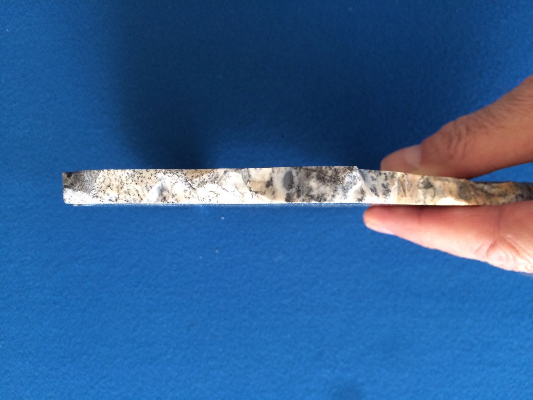 Fossili: Fossilien Dendrit / geschliffene Platte – Nuovo (secondo la descrizione) da Luzern venduto da adonairo 2