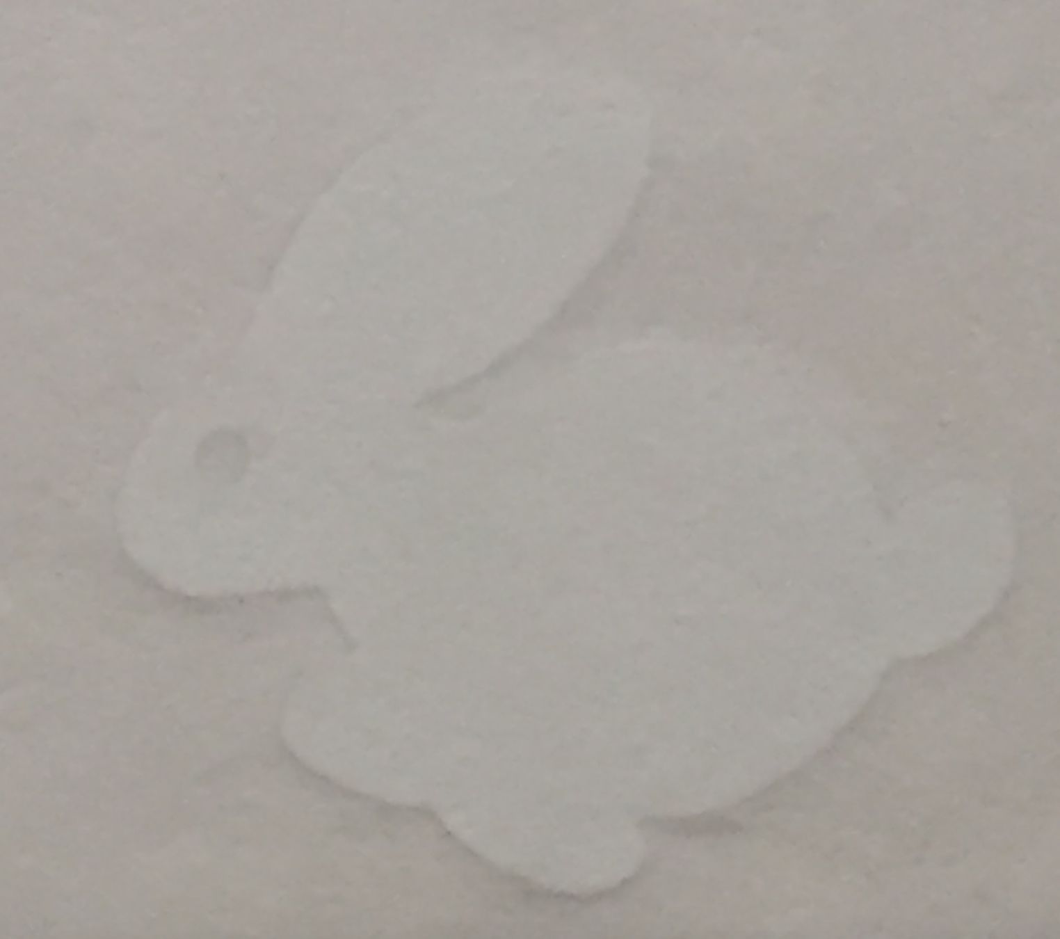 Sticker: Hase Aufkleber Top Angebot – Usato da Aarau venduto da Foruschweiz 1