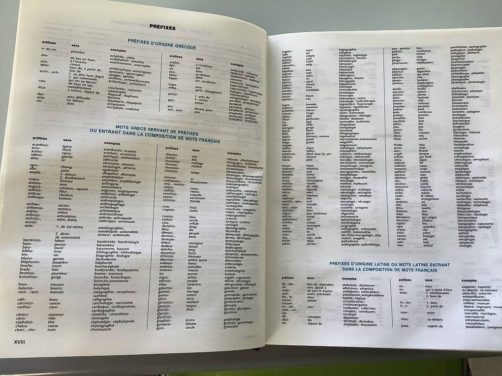 Libri: Dictionnaire Larousse sélection – Usato da Icogne venduto da Juka 2