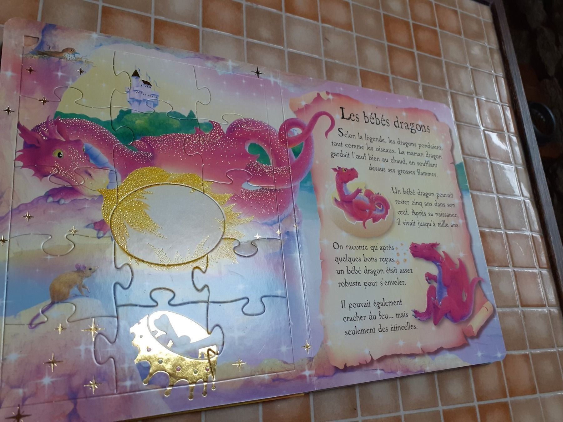 Libri: Livre puzzle dragons – Usato da Bure venduto da Srh2 5