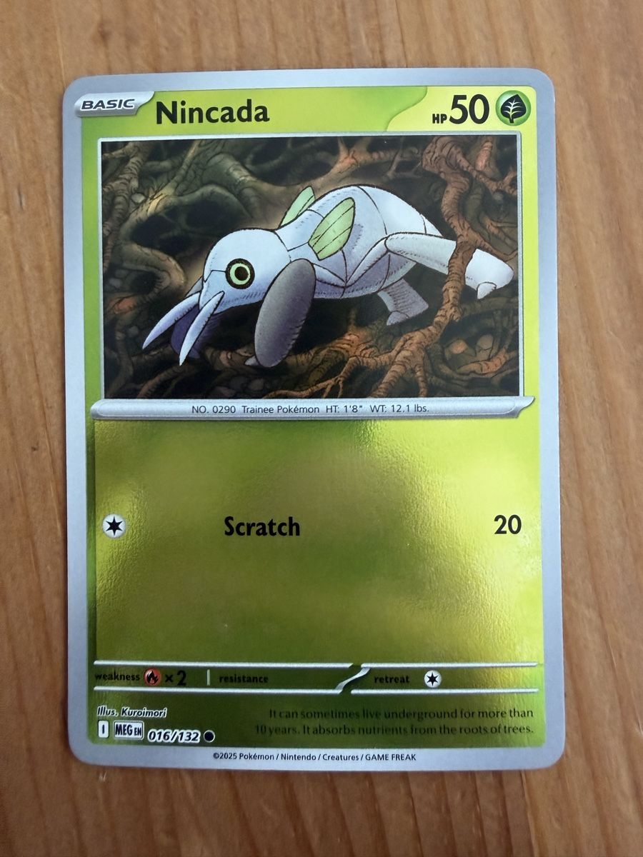 Pokémon Carte collezionabili: Nincada (MEG016) – Nuovo (secondo la descrizione) da Vevey venduto da Matx
