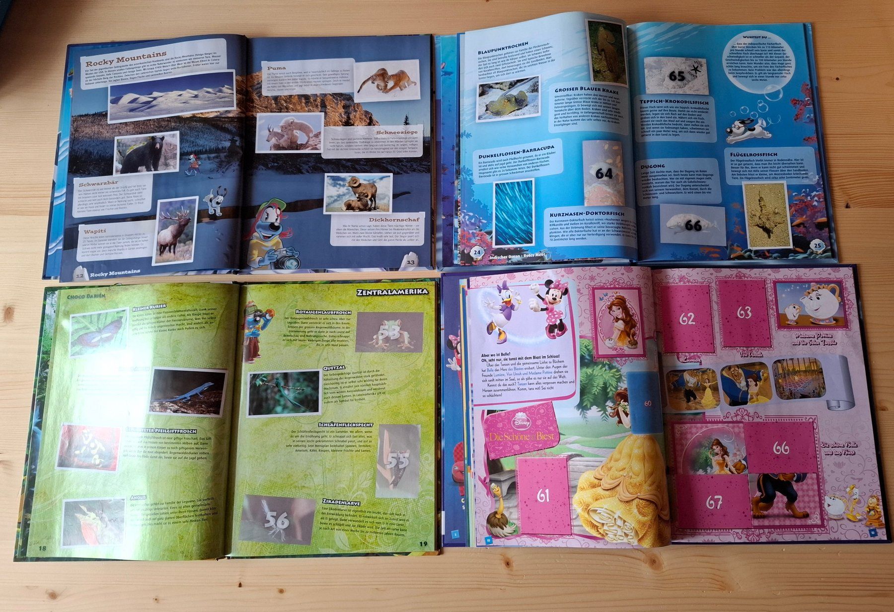 Libri: 4xSticker Bücher nicht Komplett – Usato da Oberurnen venduto da rotty80 1