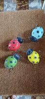 coccinelles* célèbre làmour *Prüfungskäferli tolles Geschenk