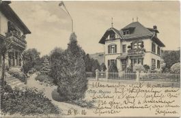 Willisau LU Villa Regina Private AK 1917 sehr gut erhalten