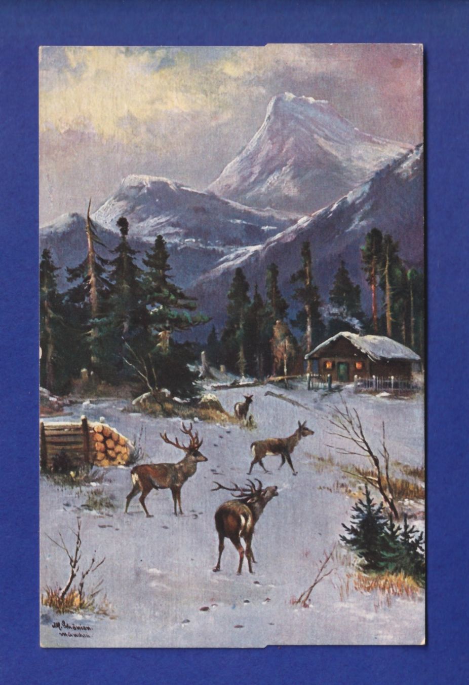 Cartes postales: CERF et BICHE – D'occasion à Pully par nicecards-shop