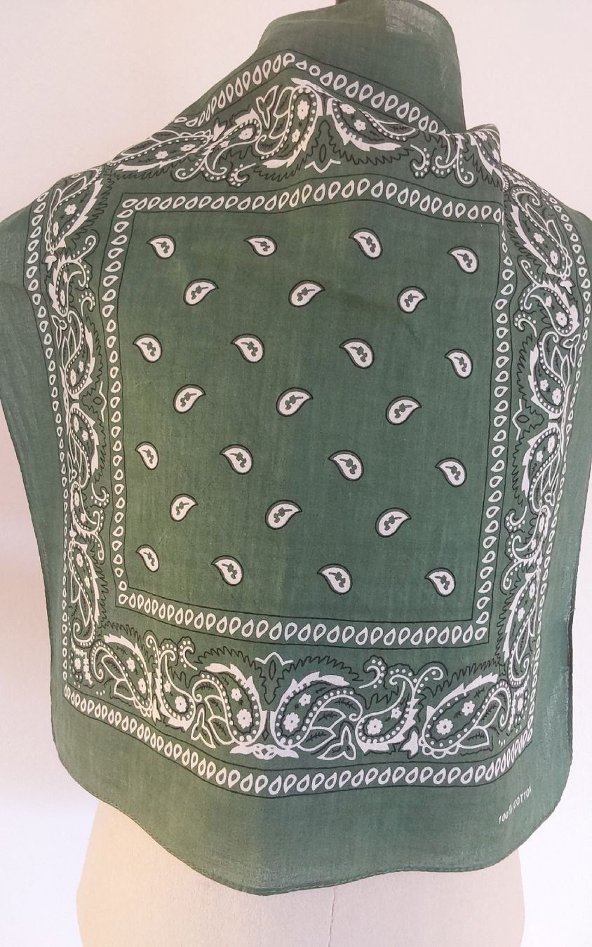 Foulard & Sciarpe: Baumwolltuch quadratisch grün – Nuovo (secondo la descrizione) da Köniz venduto da scopello12 1