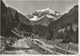 Weisstannen SG (am Weg nach)mit Foostock 1956 Foto Nr. 21016