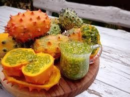 Piante & sementi: KIWANO  'Concombre cornu'  15g – Nuovo (secondo la descrizione) da Bremblens venduto da FIBONACCI369 1