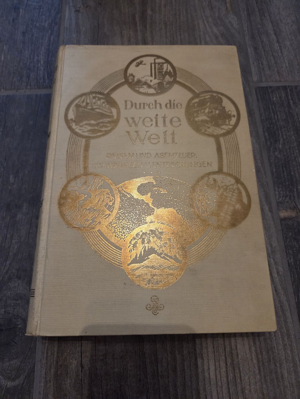 Libri: Durch die weite Welt – Usato da Bülach venduto da Ayanee