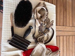 Briglie & Cavezze: Reitsport Pferdezubehör  Striegel – Usato da Steinhausen venduto da Francesco05 2