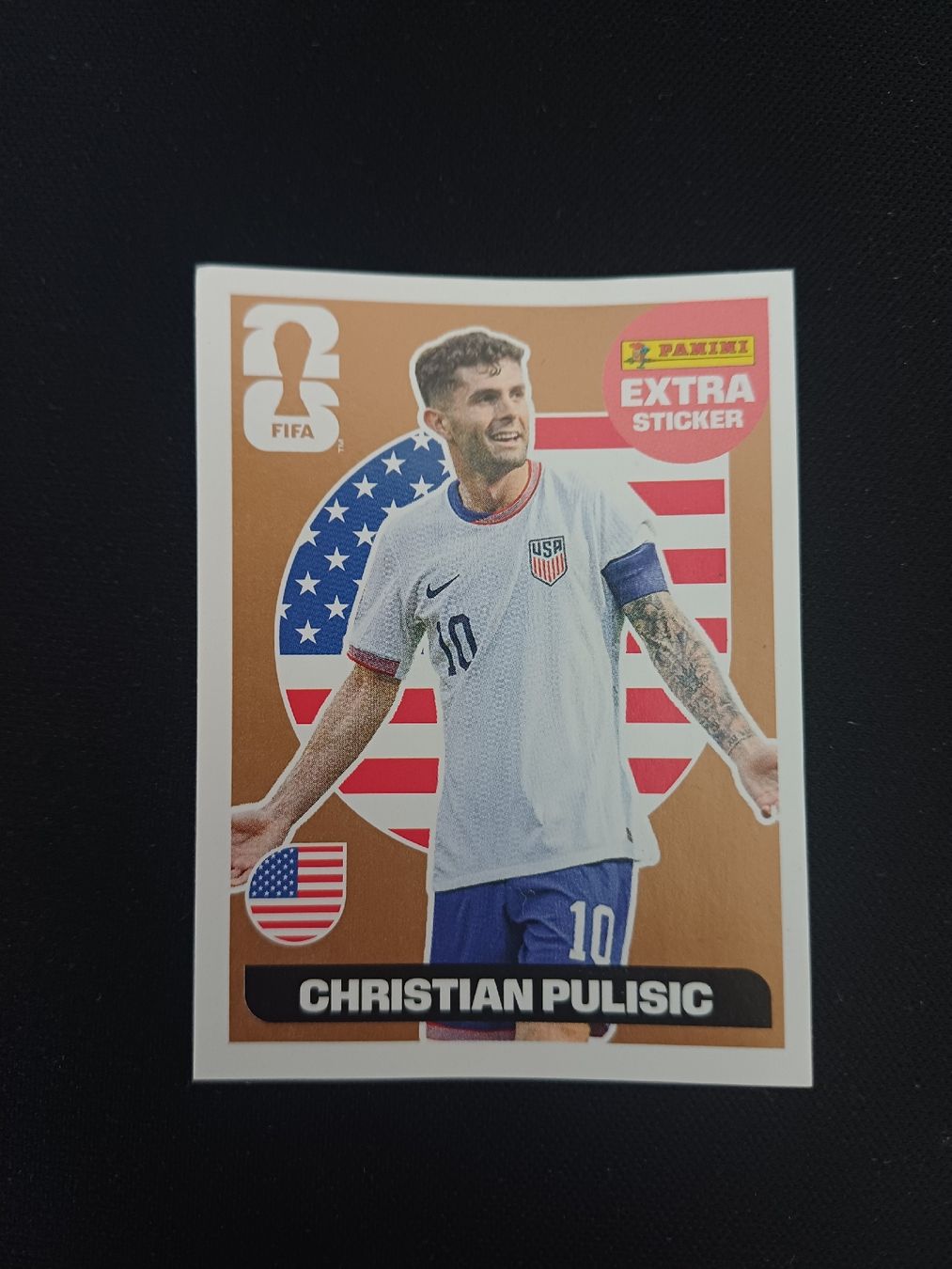 Panini Carte collezionabili: Panini Christian Pulisic Extra Sticker – Nuovo (secondo la descrizione) da Wila venduto da dom_fh82