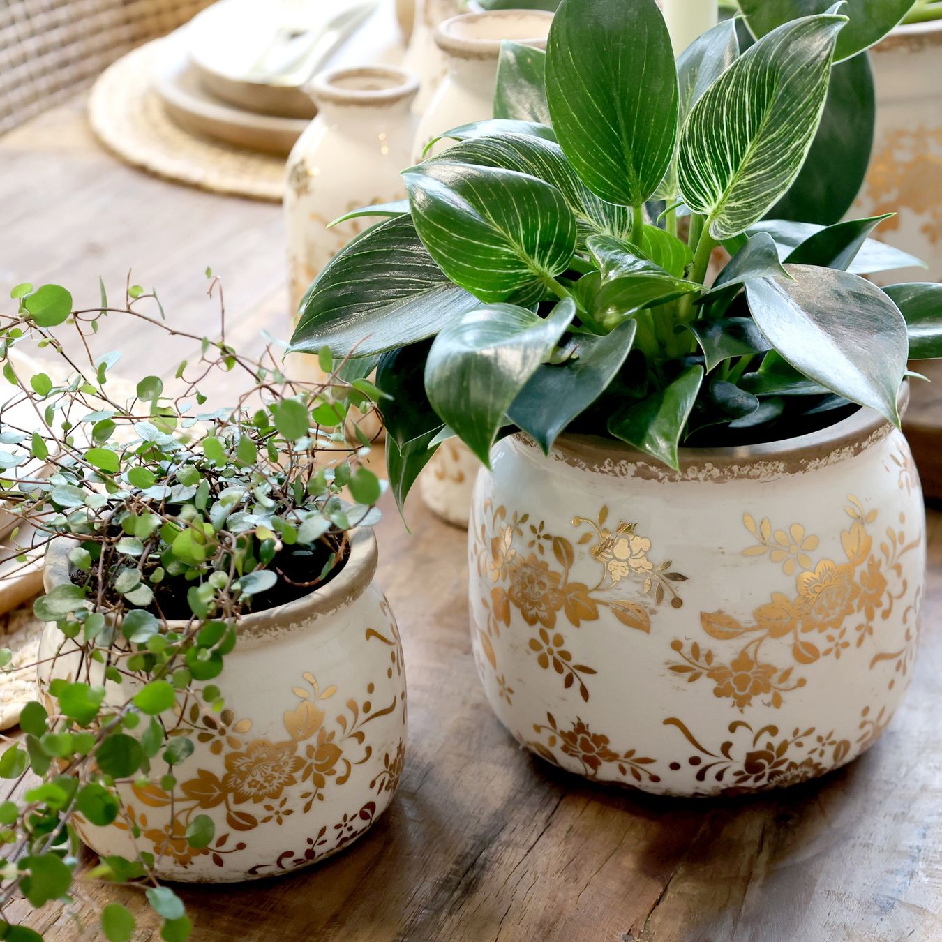 Vasi per fiori: Chic Antique Übertopf "Melun Jubiläumskollektion" – Nuovo e nell'imballaggio originale da Innertkirchen venduto da Glatthard-Interior