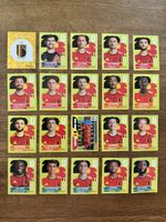 Belgien Panini WM 2026