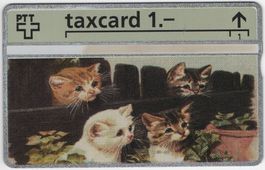 1 CHF Pussycat 1 - seltene Kunden Taxcard