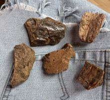 Bernstein  Amber   grosse Brocken    AMBER  aus Sumatra