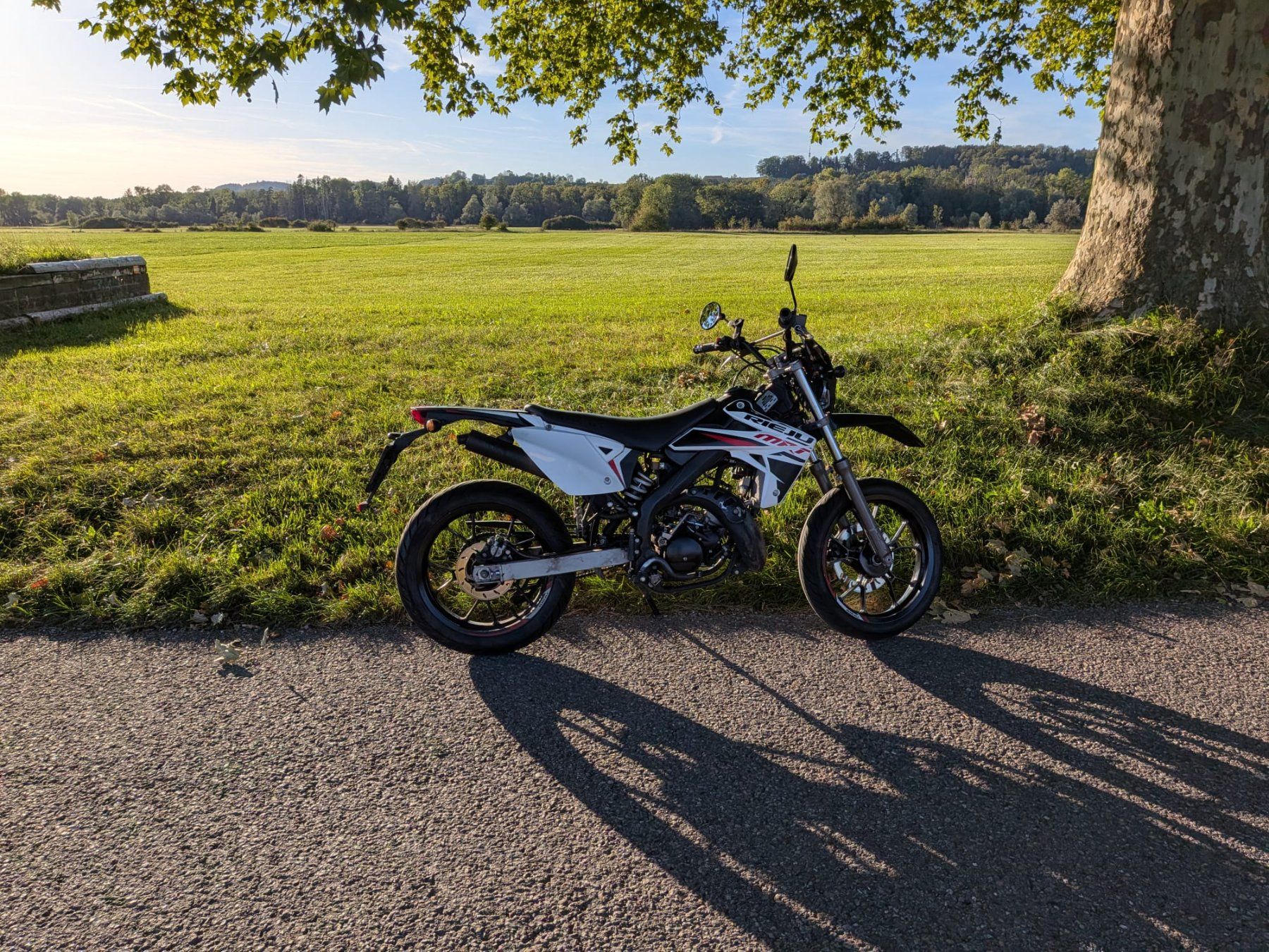 Rieju Strada: Rieju MRT 50 – Usato da Frauenfeld venduto da Mona760