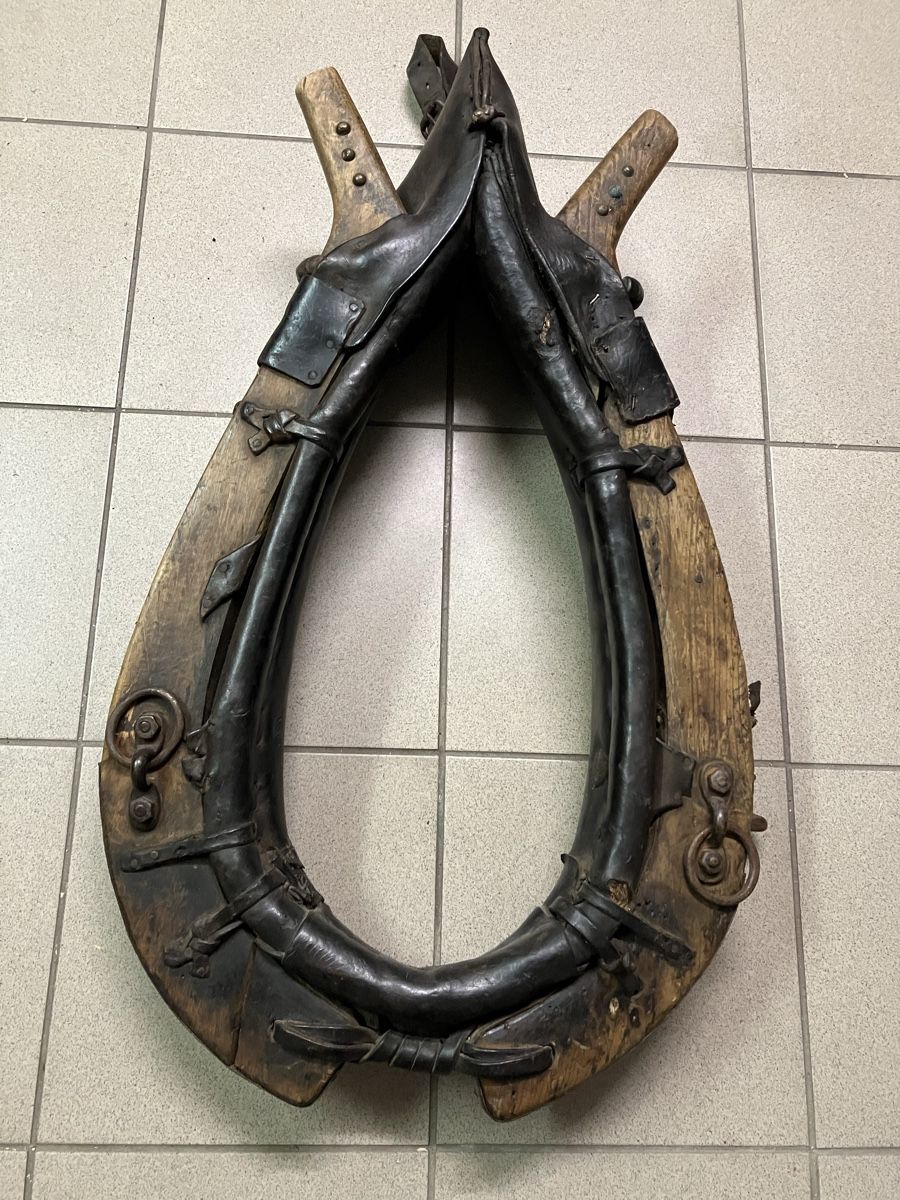 Tutte le decorazioni: Pferdekummet antik – Difettoso da Hätzingen venduto da Corne_51