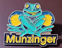 Q845 - Pin Munzinger Schule Bern  /  Frosch