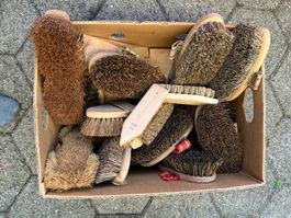 Konvolut alte Pferde-/Viehbürsten – Holz, Naturborsten